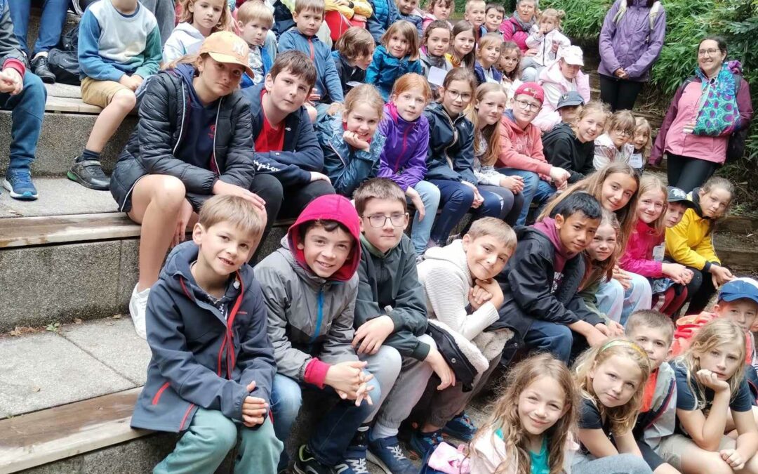 Sortie scolaire de fin d’année