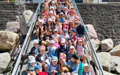 Sortie nature de fin d’année